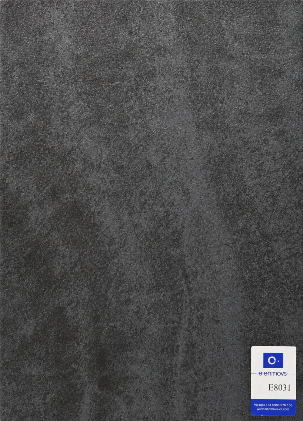 E8031 