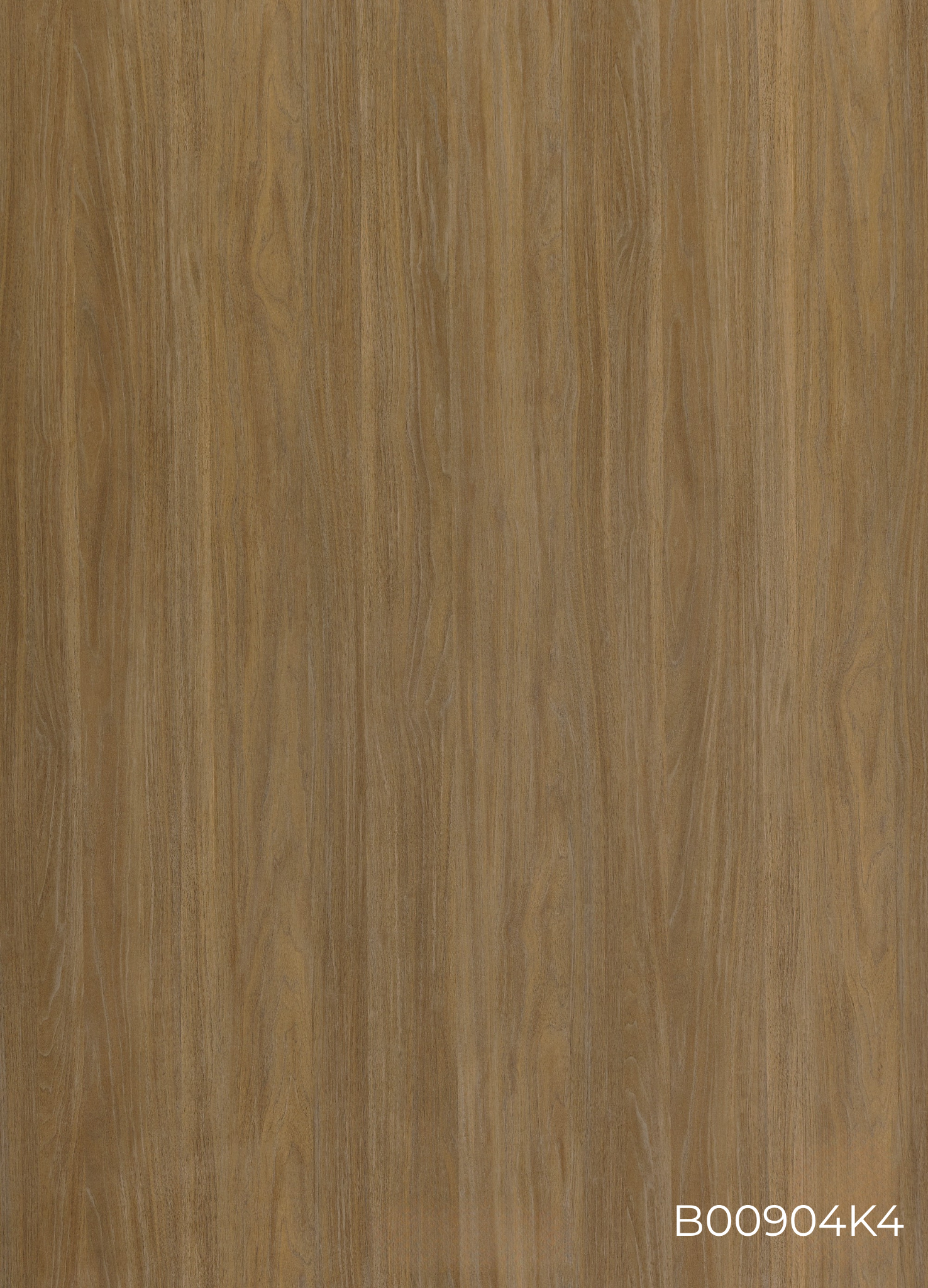 B00904K4