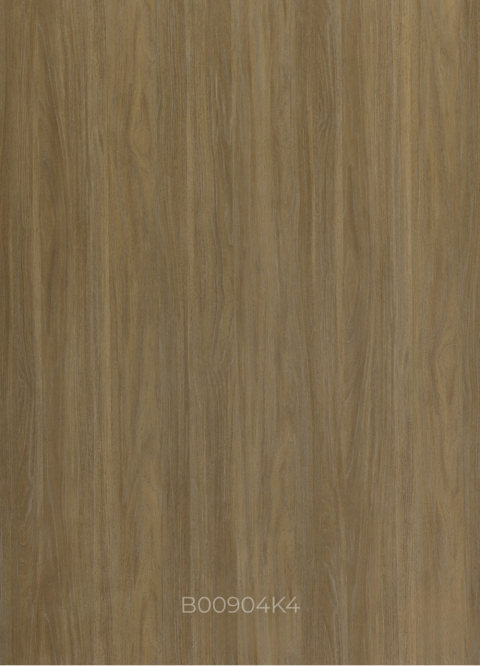B00904K4