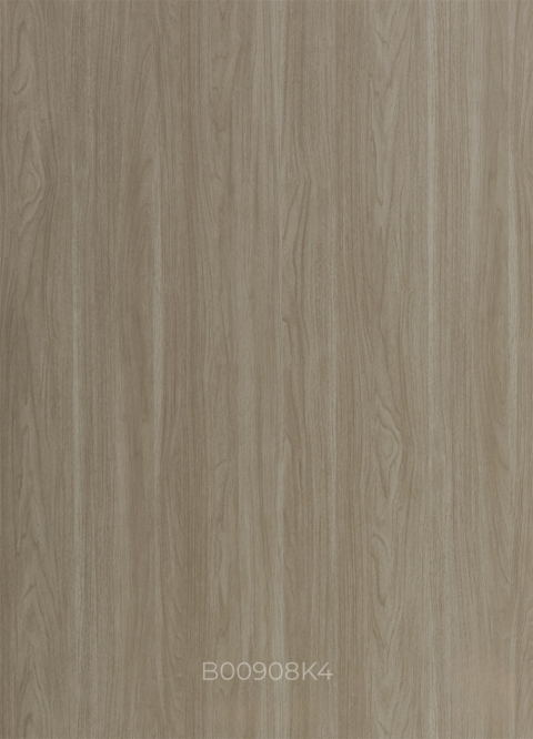 B00908K4