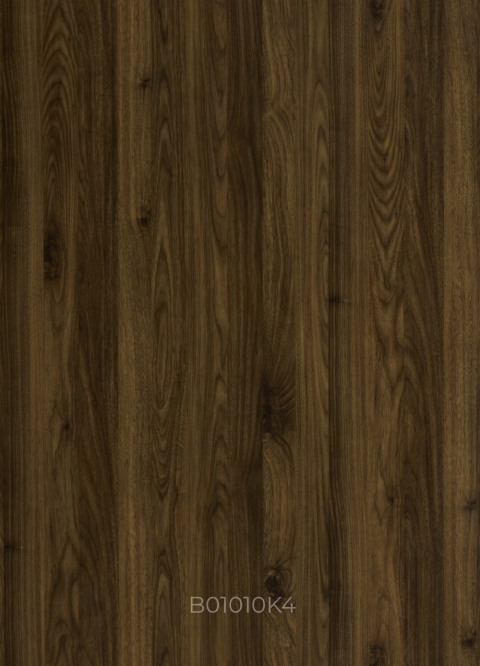 B01010K4