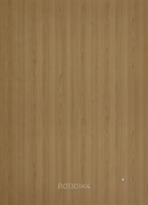 B01301K4