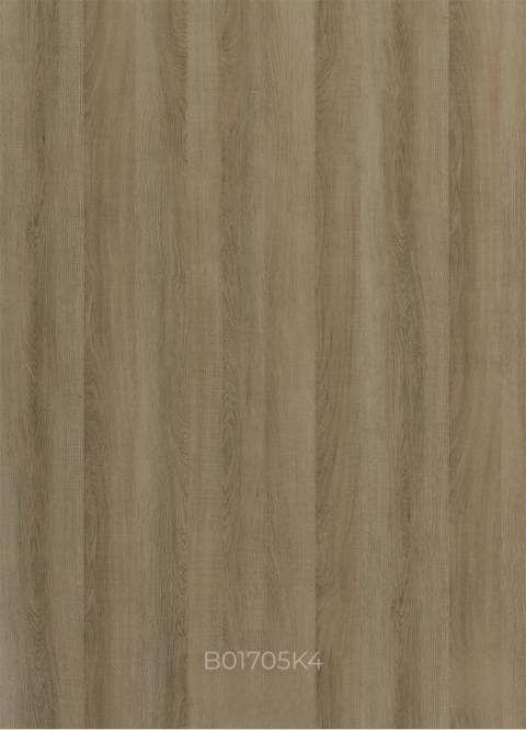 B01705K4