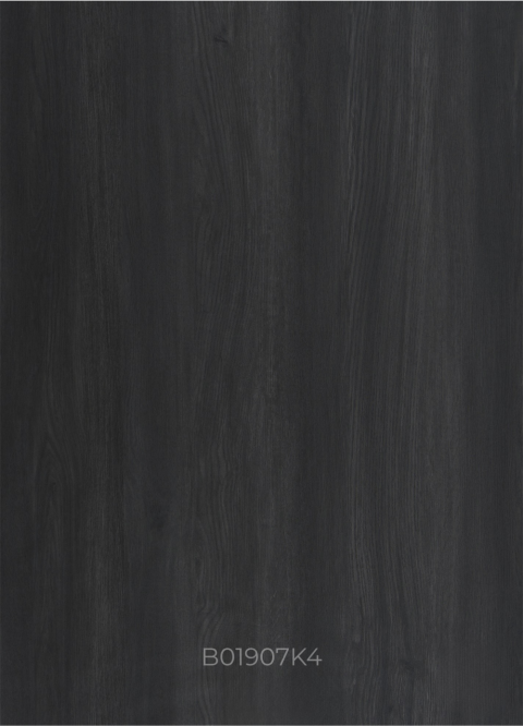 B01907K4