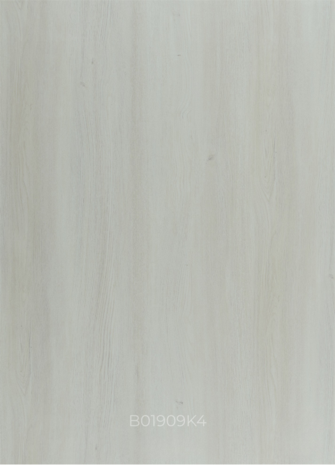 B01909K4