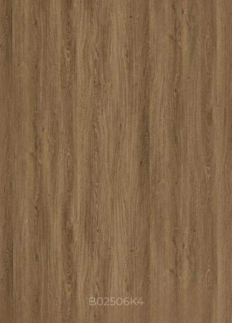 B02506K4