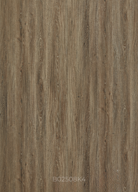 B02508K4