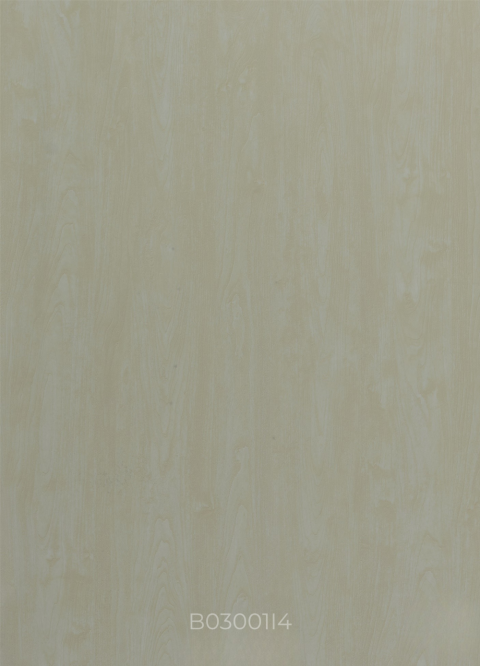 B03001I4