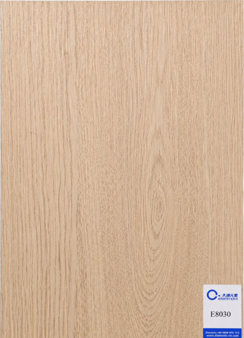 E8030 
