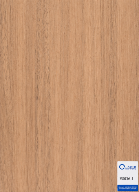 E8036-1