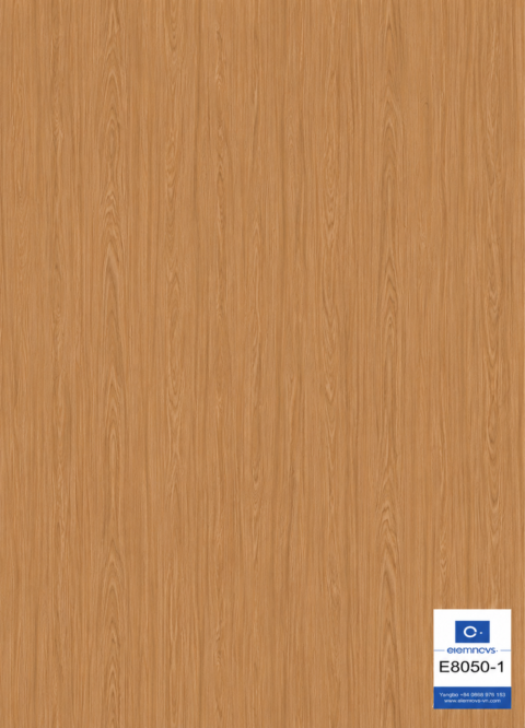 E8050-1