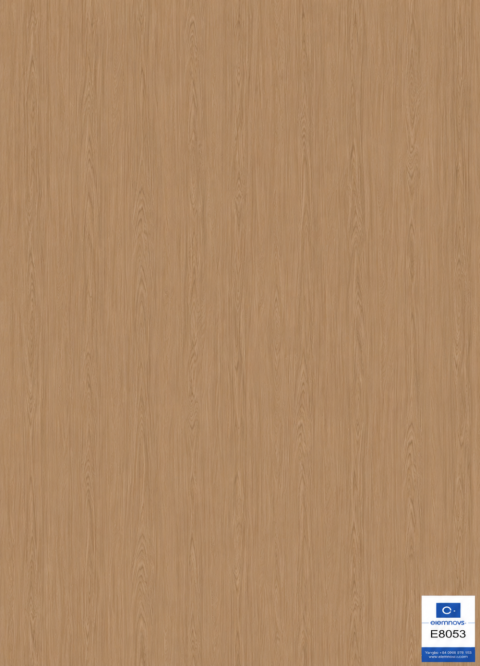 E8053